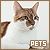  Pets: 