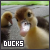  Ducks: 